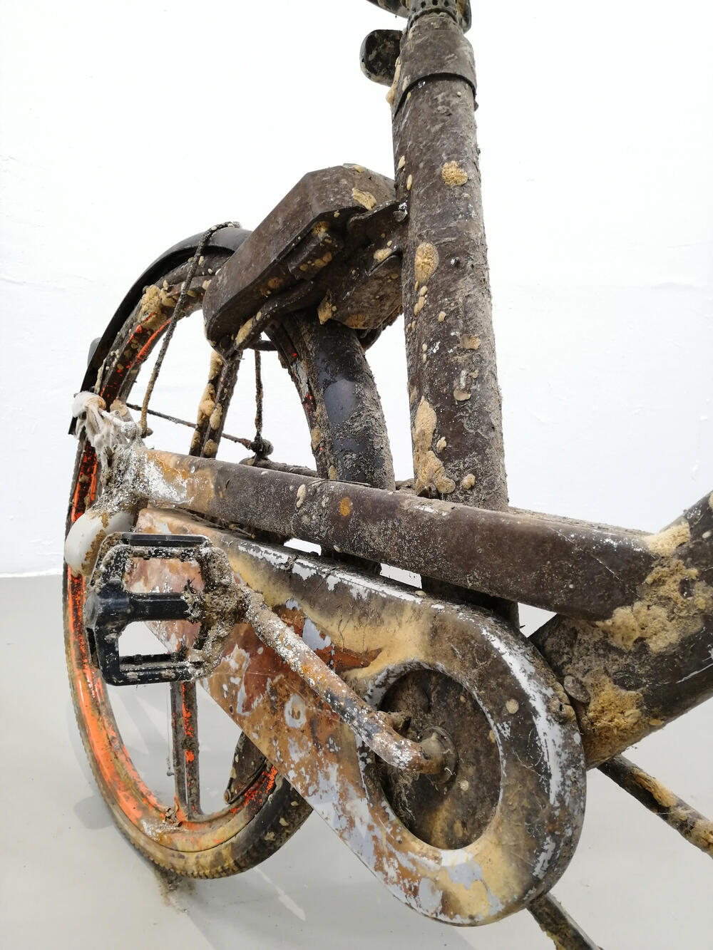 Bild von der Seite „Bike in Head“