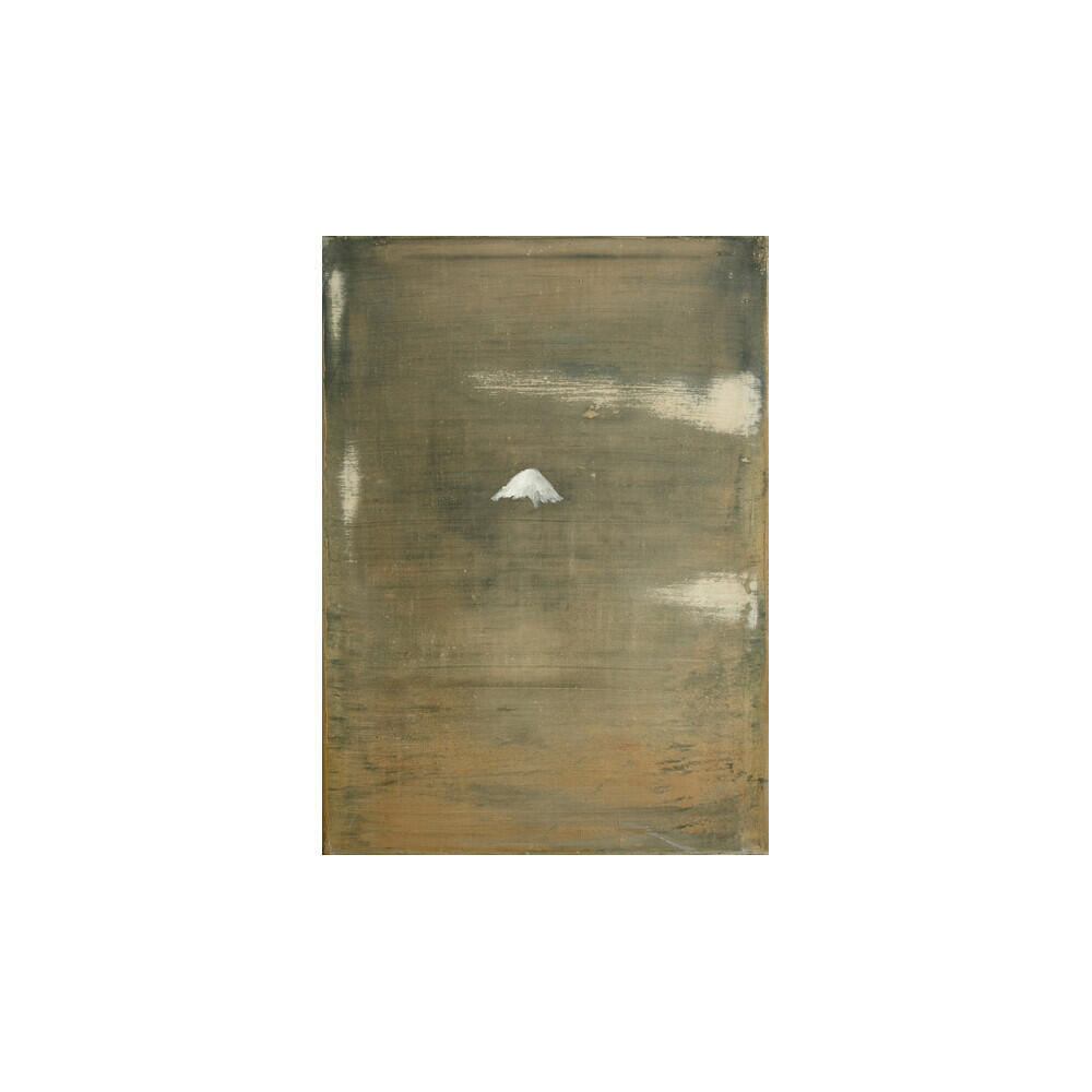 Bild von der Seite „NORDEN“