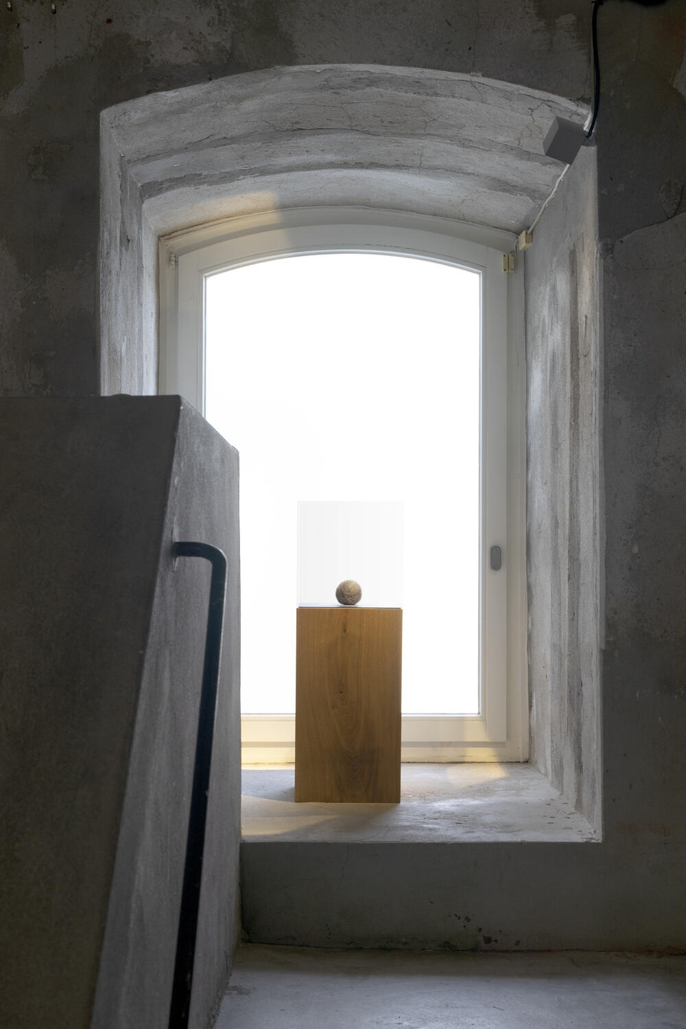 Bild von der Seite „Olfaktor: Geruch gleich Gegenwart“ (Foto: Franziska von den Driesch)