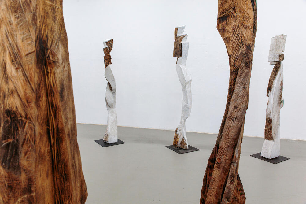 Bild von der Seite „PASSING SNOW – Skulpturen und Zeichnungen“ (Foto: Herve Maillet)
